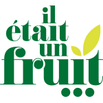 Logotype Startup Il était un fruit - Analyse de son design graphique