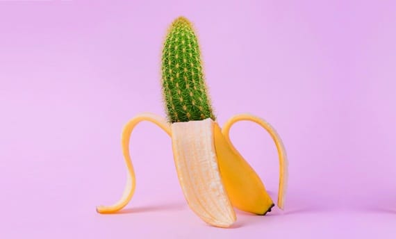 banane x cactus