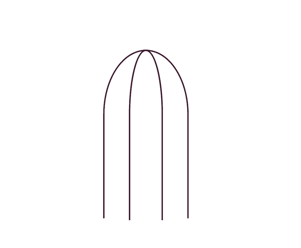 png illustration