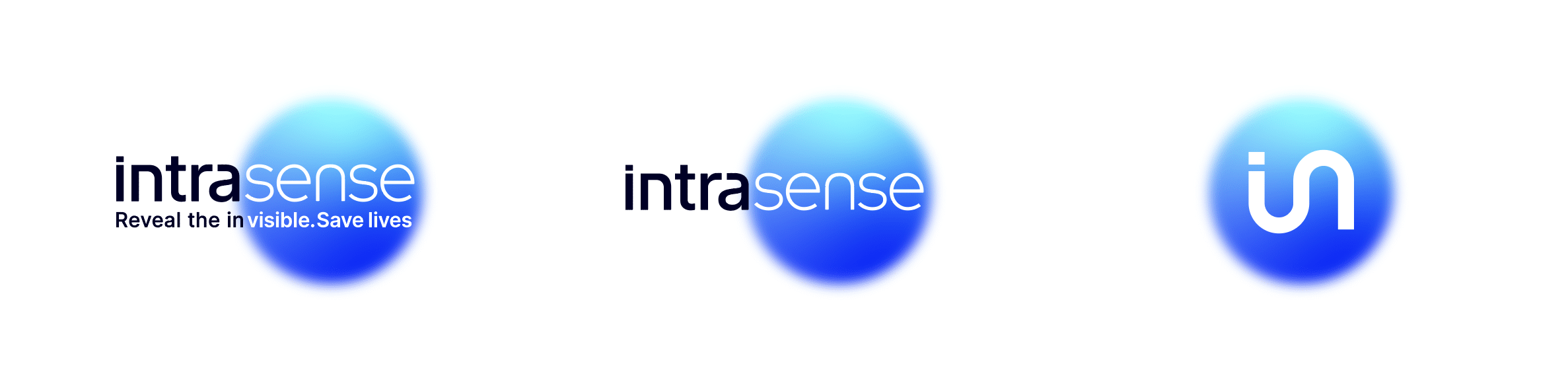 Logotypes intrasense